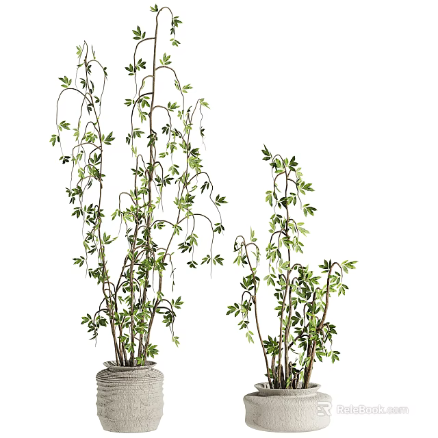 Decorative Vase With Green Leafy Plants And Tall Branches For Home Interior 3d model 