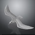 Graceful White Seagull Soaring with Outstretched Wings in Mid Air Against Black Background