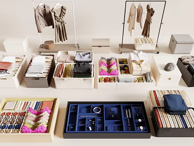 Clothes Storage And Organization With Racks And Boxes 3d model