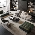 Modern Green and Beige Sofa Coffee Table Set with Rug Armchair and Bookshelves