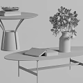 Modern Dining Table Design With Black Tabletop Silver Base And Green Plant Books 3d model