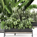 Lush Green Potted Plants Arrangement With Various Foliage Types In Modern Container