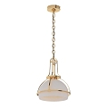 Modern chandelier Gracie in Catch Earth Pendant 3d model