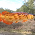 Vibrant Aquatic Animal With Golden Scales And Red Fins In Natural Habitat