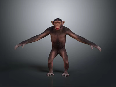 Chimpanzee in standing posture with arms outstretched against gray gradient background 3d model