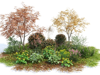 modern shrubs autumn flowers 3d model