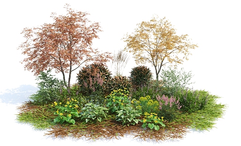 modern shrubs autumn flowers 3d model