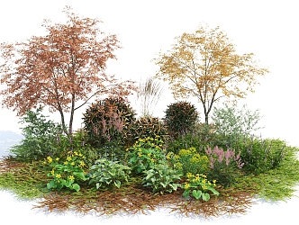 modern shrubs autumn flowers 3d model