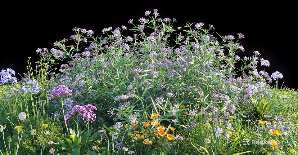 Vibrant Garden Flowers With Purple Yellow Blooms And Lush Green Leaves 3d model 