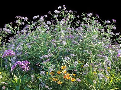 Vibrant Garden Flowers With Purple Yellow Blooms And Lush Green Leaves 3d model