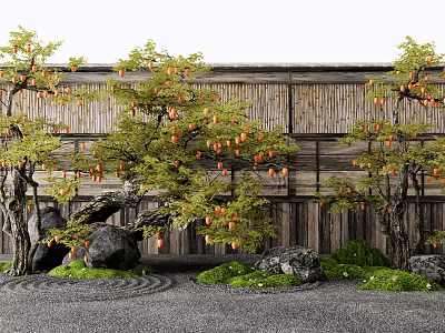 Fruiting Deciduous Trees With Orange Fruits Curved Trunks Near Wooden Wall Gravel Rocks And Grass 3d model