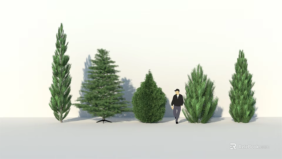 Various Arbor Species With Different Heights And Green Foliage Person Standing Beside 3d model 