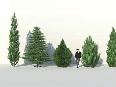 Various Arbor Species With Different Heights And Green Foliage Person Standing Beside 3d model