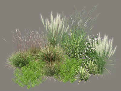 Diverse Shrub Collection With Green Foliage White Flowers And Various Heights 3d model