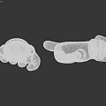 Two Yellow Cartoon Hand Organs With Different Pointing Gestures And Blue White Wrist Decorations