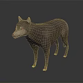 Gray Dog in Standing Position with Realistic 3D Model and Gradient Background
