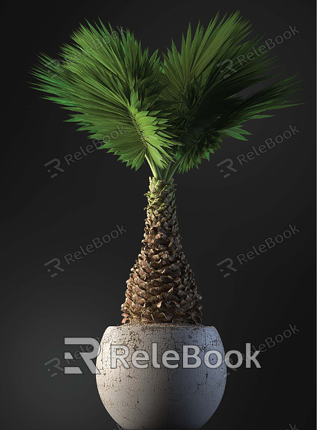 modern potted plant indoor potted plant model