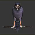 Purple Bird With Blue Head Yellow Eye Ring Open Beak Perched On Branch Dark Background