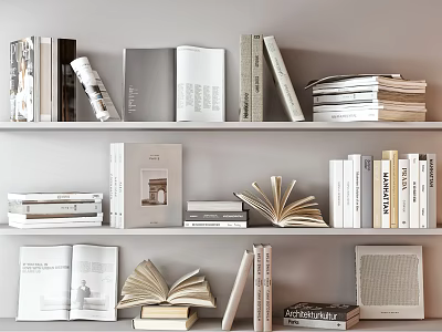 Books And Magazines Display On Stylish Bookshelf 3d model