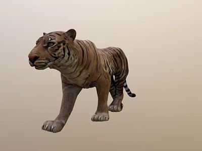 Lifelike Tiger Sculpture With Detailed Brown Black Stripes In Walking Pose 3d model