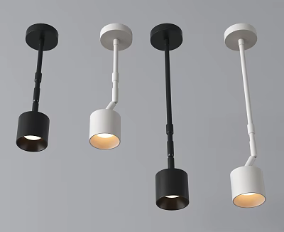 Modern Black And White Downlights Spotlights With Adjustable Design For Home Lighting 3d model
