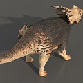 Realistic Triceratops Reptile Models Adult And Juvenile With Textured Skin