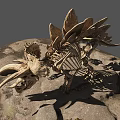 Reptile Dinosaur Skeleton With Dorsal Plates And Long Horns On Rocky Surface