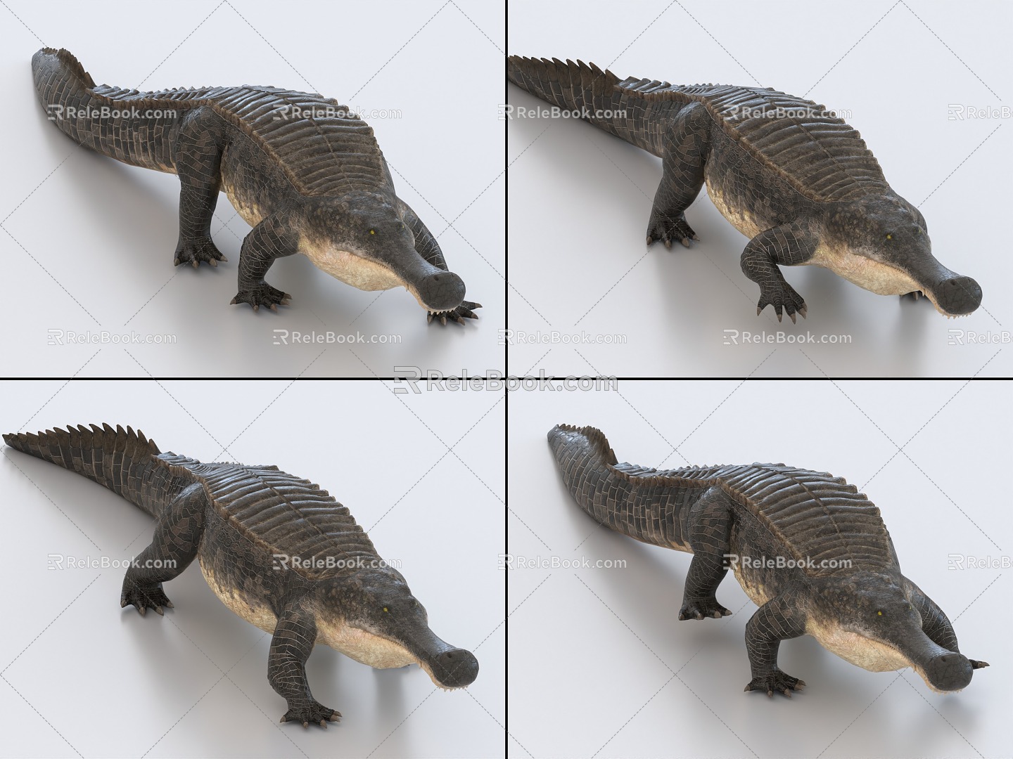 Crocodile with binding and crawling animation emperor crocodile 3d model