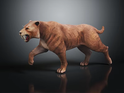 Saber Toothed Tiger With Brown Fur Open Mouth Sharp Fangs Standing On Shiny Surface Reflection 3d model