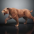 Saber Toothed Tiger With Brown Fur Open Mouth Sharp Fangs Standing On Shiny Surface Reflection