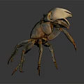 Brown Clawed Shiny Shell Crab Standing On Dark Background With Long Legs And Textured Body