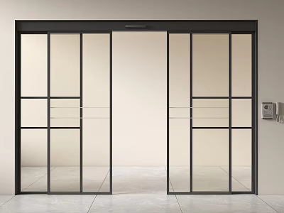 Modern Sliding Doors With Black Frame And Glass Panels For Interior Space 3d model