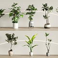 Modern green plant potted combination 3d model