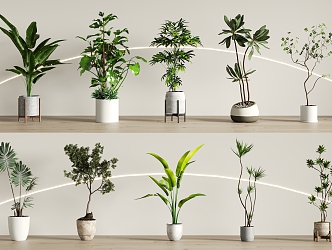 Modern green plant potted combination 3d model