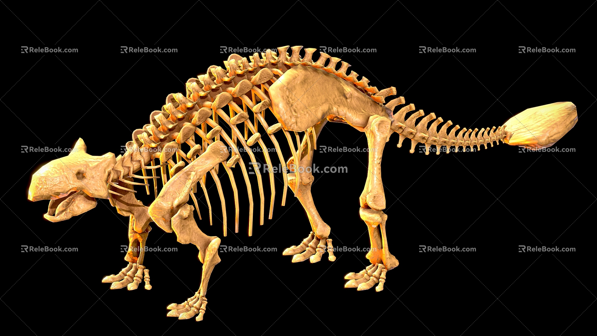 Dinosaur fossil 5 pterosaur dinosaur skeleton dinosaur skeleton 3d model