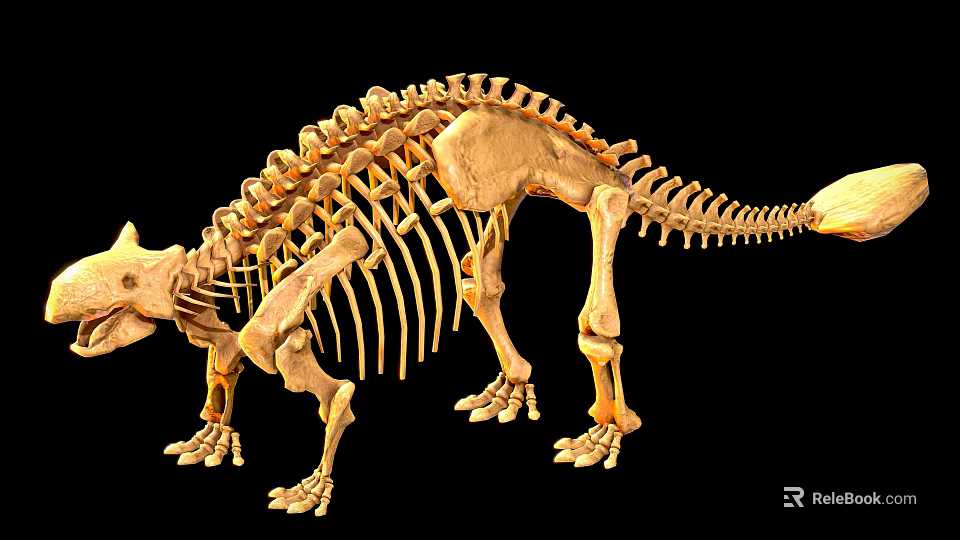 Prehistoric Reptile Dinosaur Skeleton Display With Ancient Fossil Bone Structure 3d model 