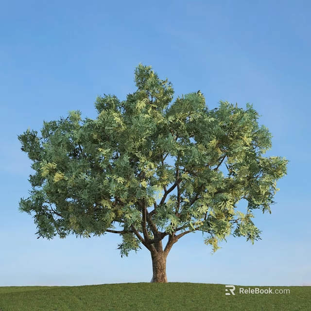 Lush Green Arbor With Dense Foliage And Strong Trunk Against Blue Sky 3d model 