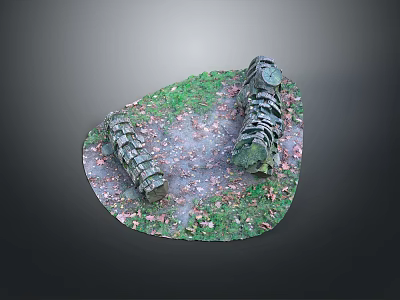 Beautiful Natural Scenery With Stone Path Green Grass And Fallen Leaves 3d model