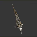 Detailed Marine Animal Skeleton With Long Snout Streamlined Structure On Gray Background