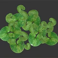 Natural Round Green Spotted Leaves With Slender Stems On Dark Background