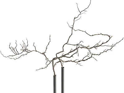 Stylish Black Vase Featuring Dried Twigs Flower Arrangement For Interior Design 3d model