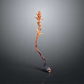 Unique Orange Plant With Slender Stem And Blooms On Minimal Gray Background