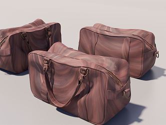 Modern Handbag Travel Bag Travel Bag 3d model