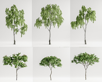 Modern Tree Landscape Tree Combination 3d model