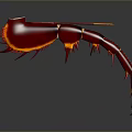 Artistic 3D Rendered Shrimp with Red Body Orange Edges and Long Antennae