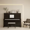 Elegant Black Piano With Music Sheet Green Plant Ornaments And Side Chair
