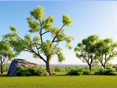 Lush Green Plant Combination With Trees Bushes And Rock In Grassland Under Blue Sky 3d model