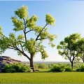 Lush Green Plant Combination With Trees Bushes And Rock In Grassland Under Blue Sky