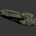 Chi chrysanthemum stone ancient fossil stone chrysanthemum fossil items 3d model