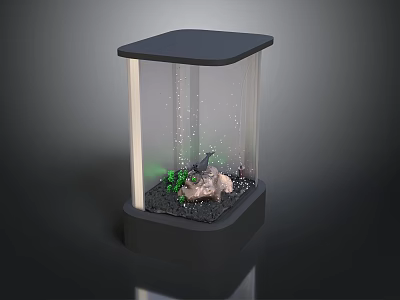 Small Transparent Glass Terrarium With Green Plants Rocks Bubbles Black Base And Lid 3d model